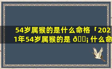 54岁属猴的是什么命格「2021年54岁属猴的是 🐡 什么命 🦉 」